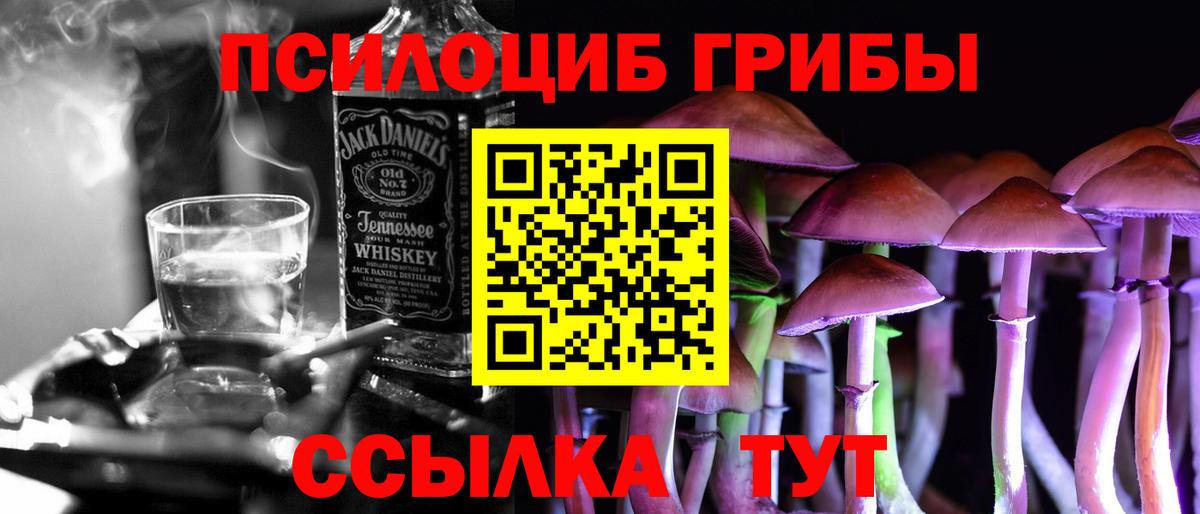 Псилоцибиновые грибы ЛСД Майкоп