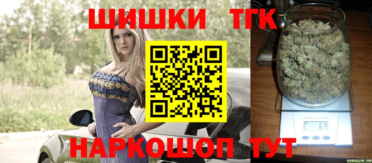 Канабис сатива Майкоп